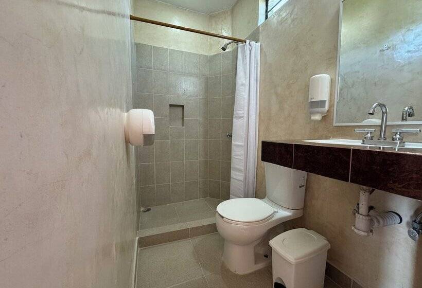 اتاق سوپریور, Viajero Puerto Escondido Hostel