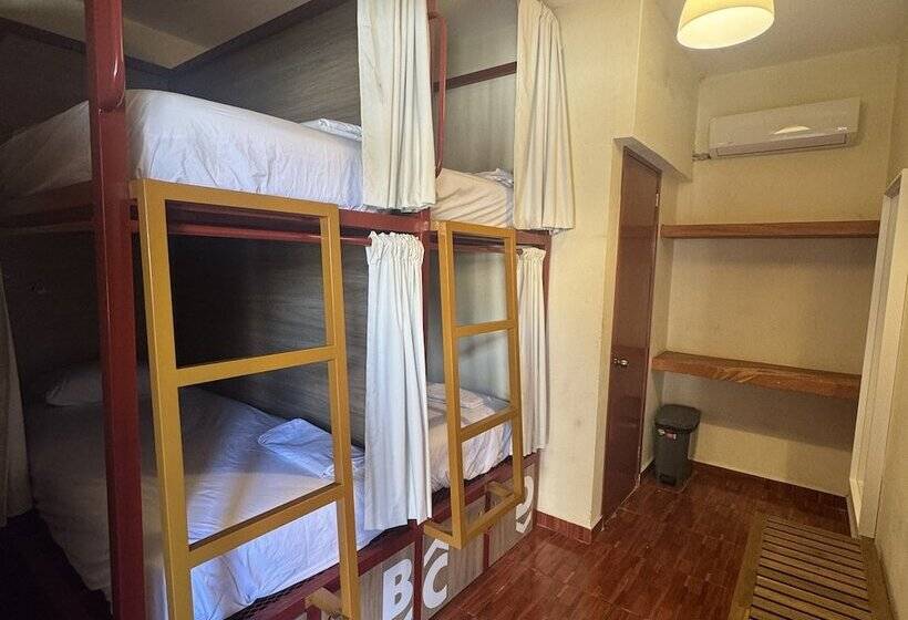 تختخواب در اتاق مشترک, Viajero Puerto Escondido Hostel