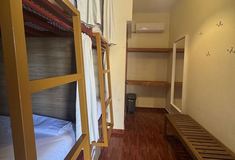 تختخواب در اتاق مشترک, Viajero Puerto Escondido Hostel