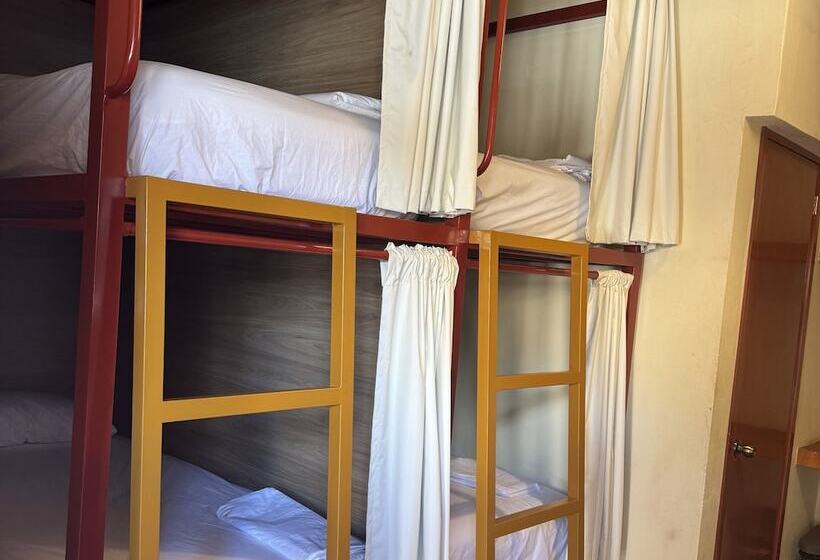 تختخواب در اتاق مشترک, Viajero Puerto Escondido Hostel