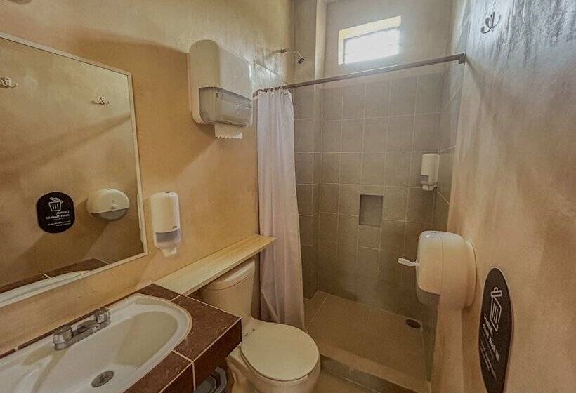 تختخواب در اتاق مشترک, Viajero Puerto Escondido Hostel