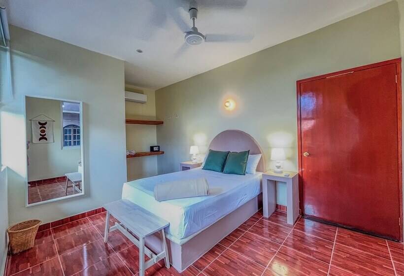 اتاق لوکس, Viajero Puerto Escondido Hostel
