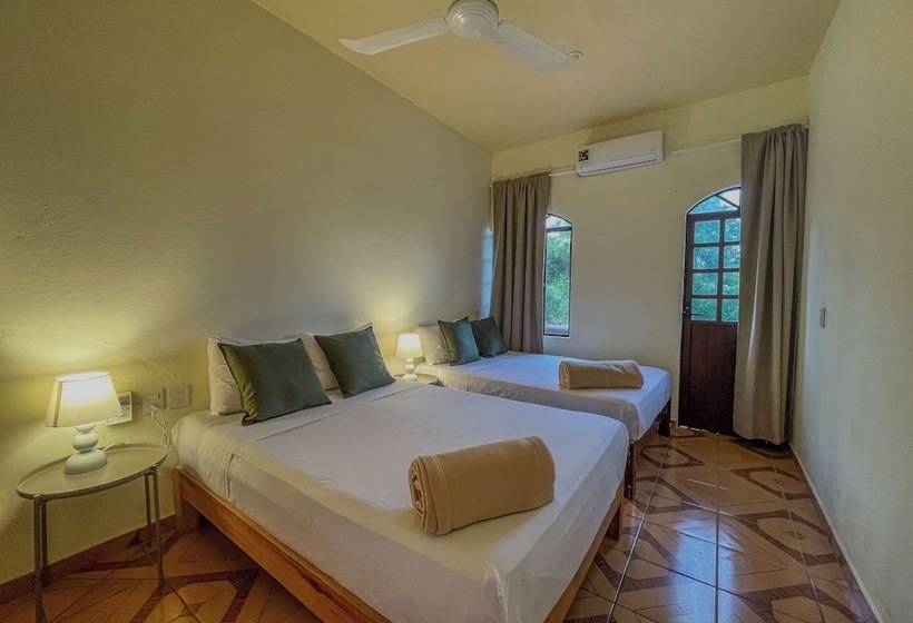 اتاق لوکس سه تخته, Viajero Puerto Escondido Hostel