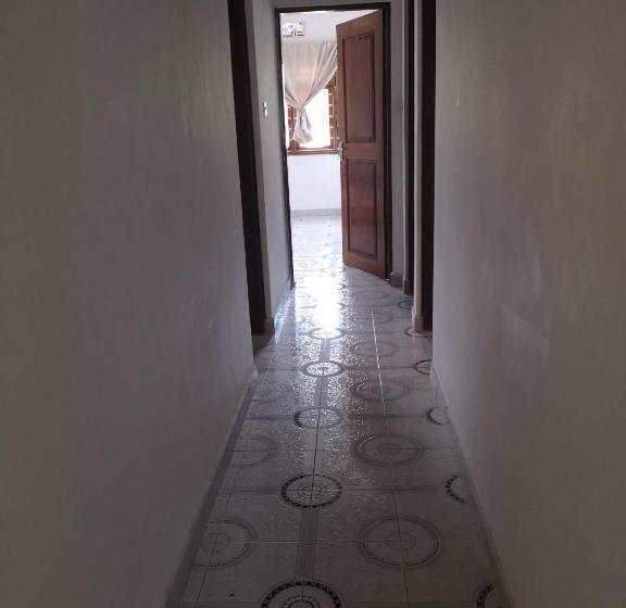 اتاق لوکس, Saza Adventures