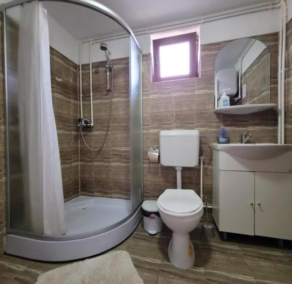 Апартаменты 2 Спальни, Pensiunea Casa Madalina