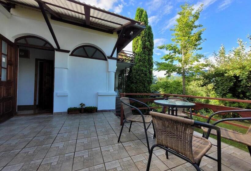 Номер Стандарт, Pensiunea Casa Madalina