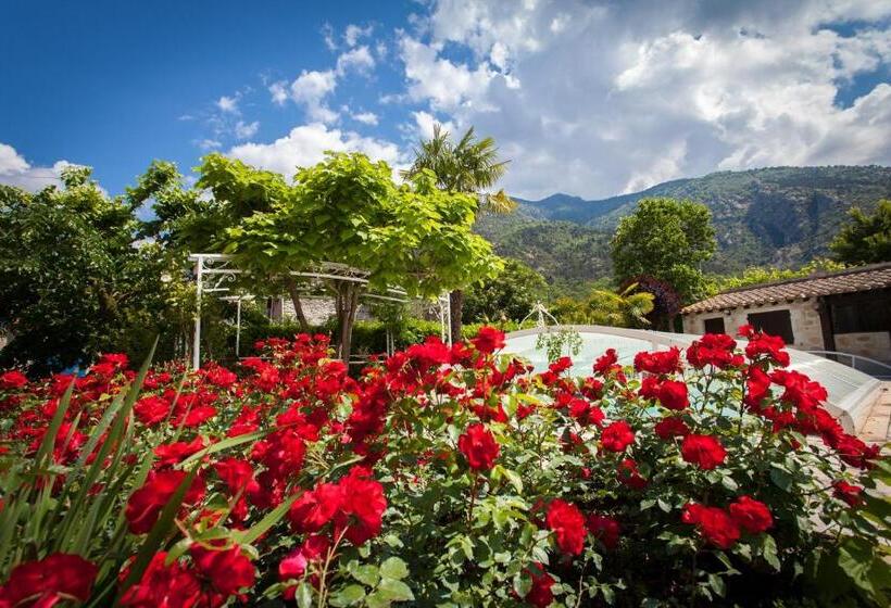 Номер Стандарт, Les Loges Du Jardin D Aymeric