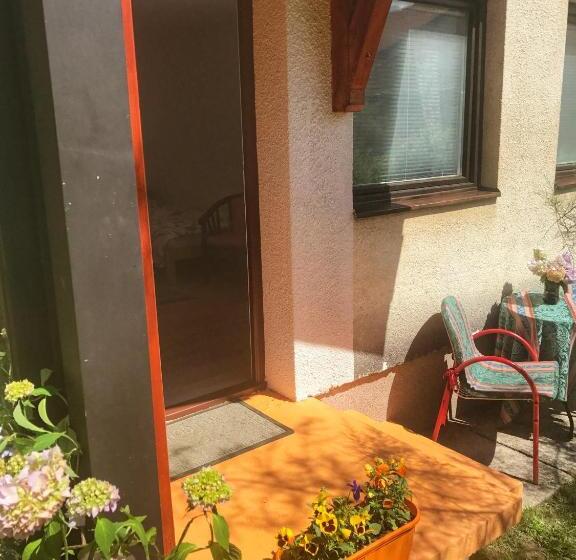 استودیوی استاندارد, Guest House Isidora
