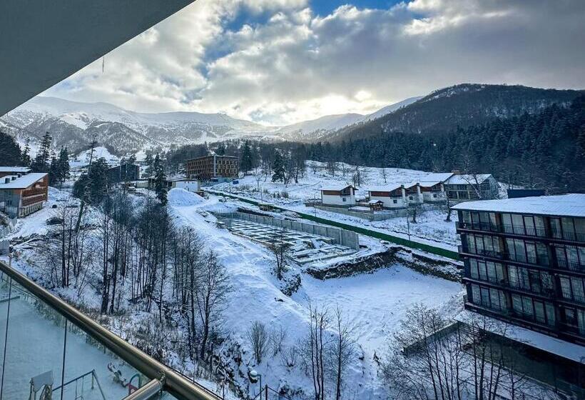 آپارتمان 1 خوابه با چشم‌انداز, Mountain View At “orbi Palace Bakuriani”
