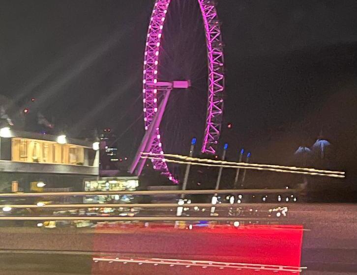 Номер Стандарт Вид на Сад, Waterloo Central London   Private Rooms In Shared Apartment