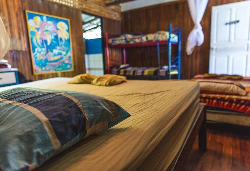 공동 객실, Luminosa Montezuma Hostel