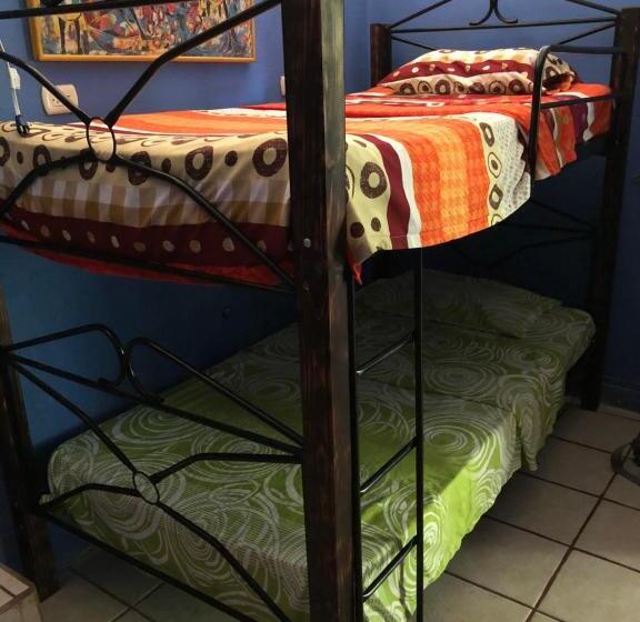 공동 객실, Luminosa Montezuma Hostel