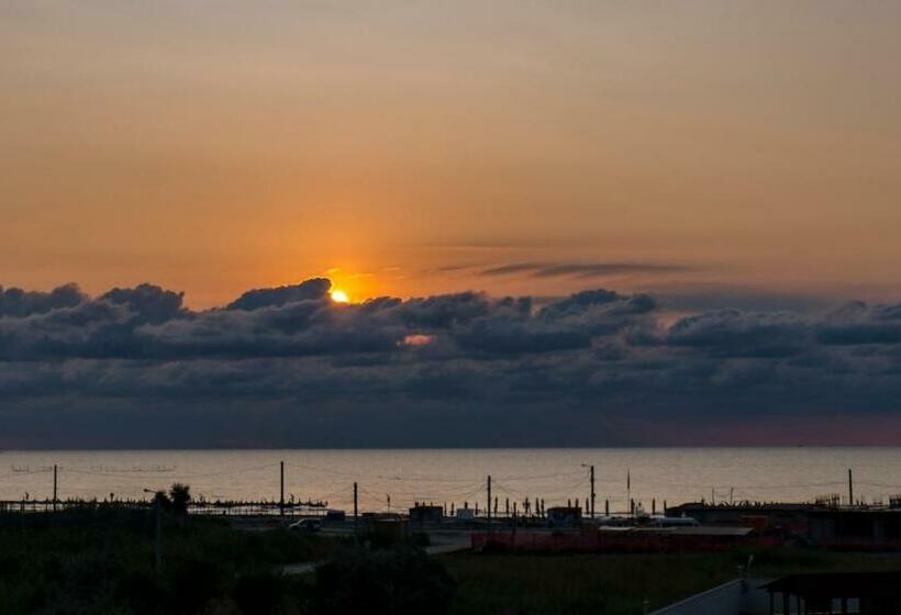 اتاق لوکس, Nayino Resort