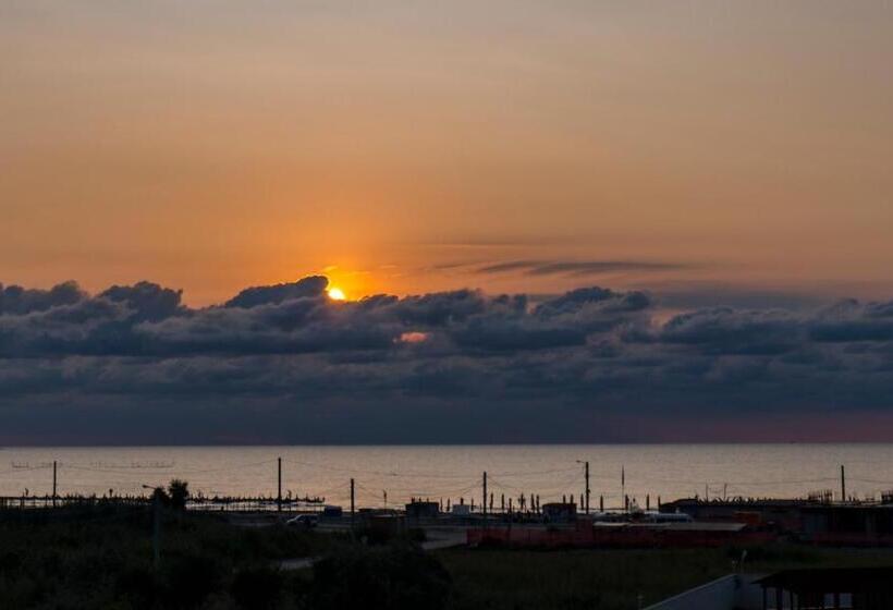 اتاق استاندارد, Nayino Resort
