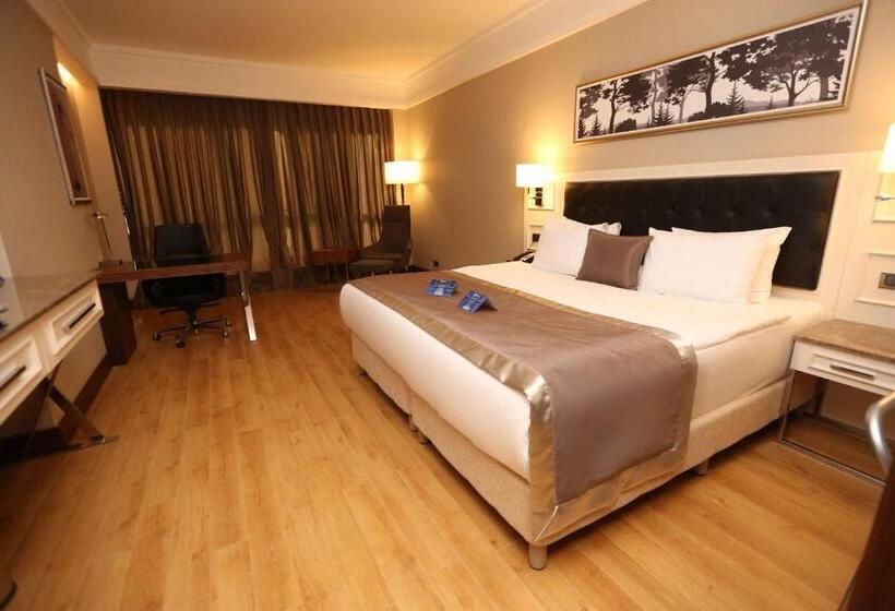 Номер Superior, Radisson Blu Hotel, Diyarbakir