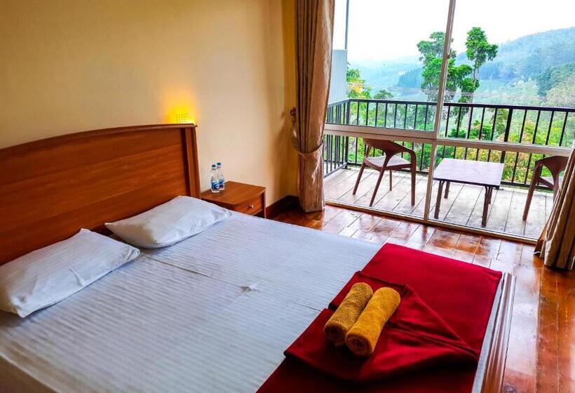 Quarto Economy, Olinka