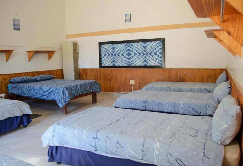 تختخواب در اتاق مشترک, Element Riders Place Backpackers