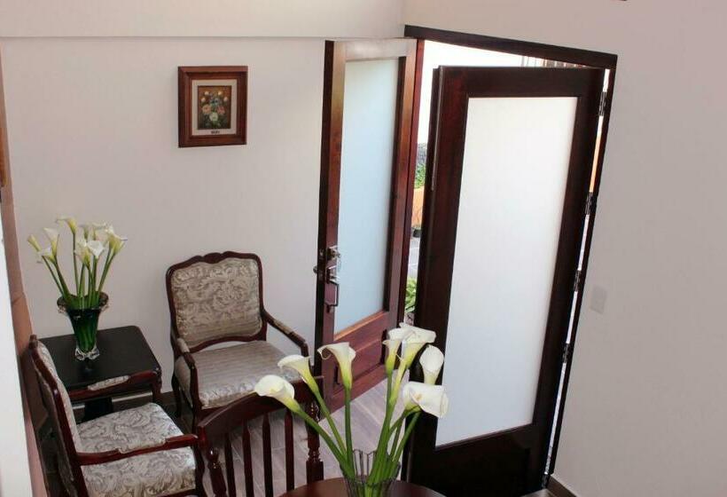 Номер Стандарт, Boutique San Antonio
