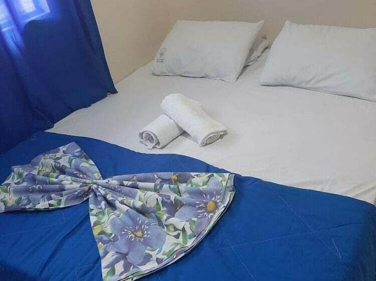 Номер Стандарт, Divino Pai Eterno