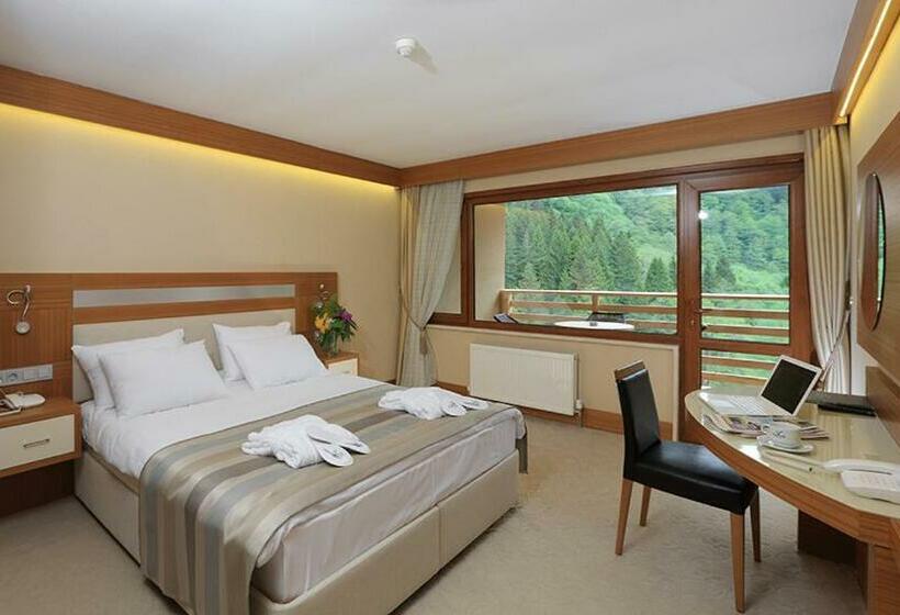 اتاق استاندارد, Kackar Resort