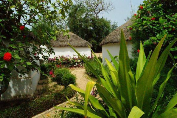 کابین, Eco Lodge Hotel Oasis Fishing