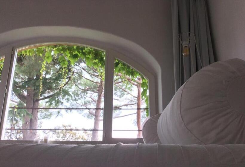 اتاق استاندارد با چشم‌انداز باغ, B&b A Piazza Del Gesù