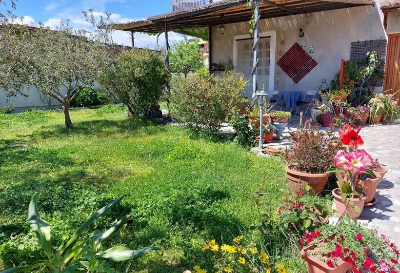 Номер Стандарт, I Girasoli