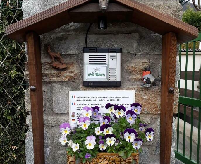스탠다드 룸 공동 욕실, B&b Edelweiss