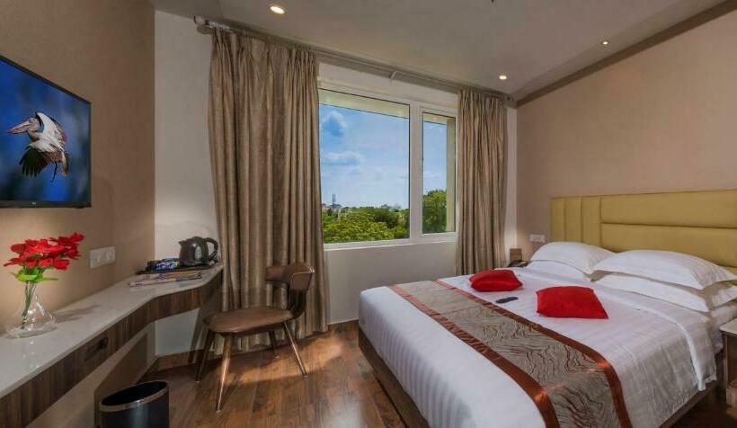 Quarto Estandar Individual, Msp Grands Inn