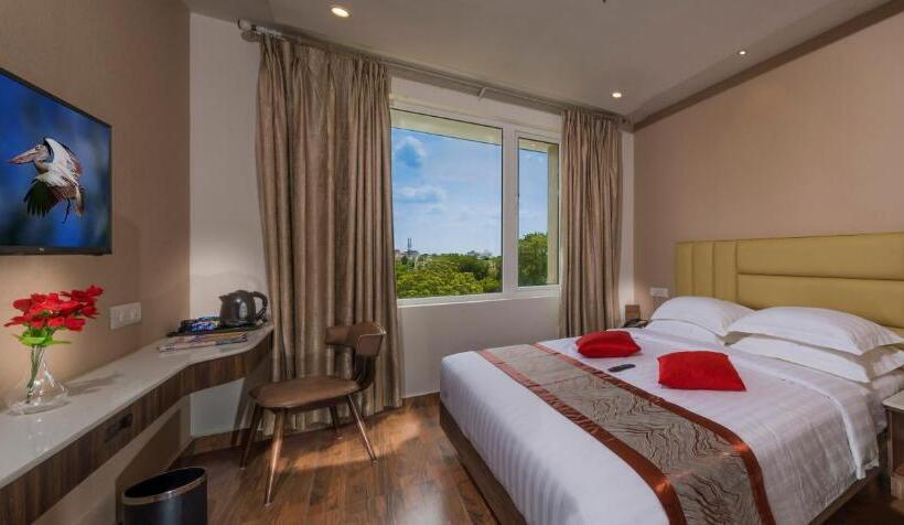 Quarto Estandar, Msp Grands Inn