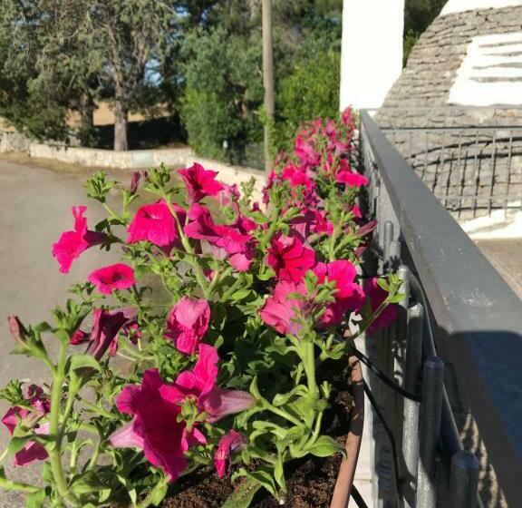 Номер Стандарт с Террасой, Aria Di Casa Country Resort