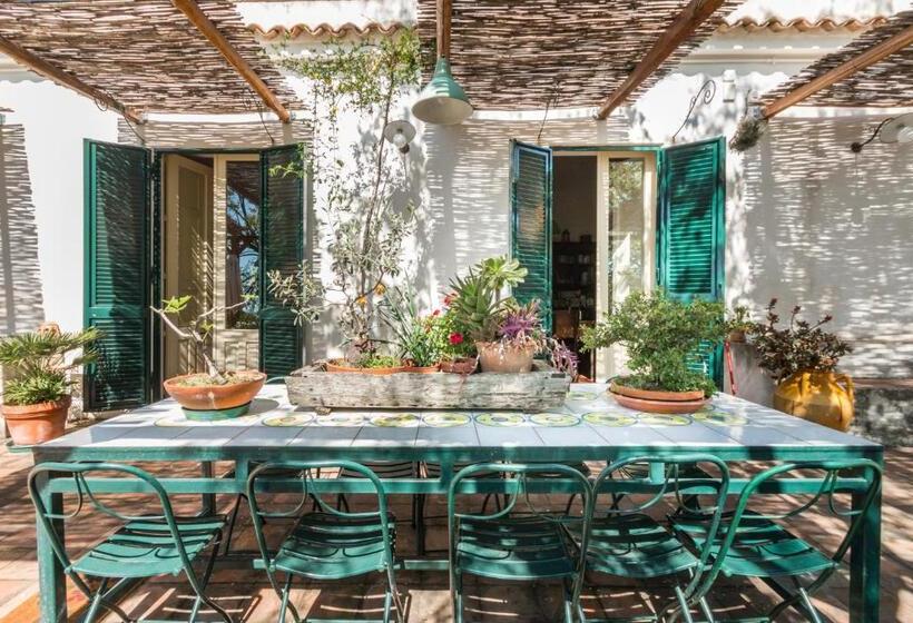 استودیوی استاندارد, B&b La Casa Di Pippinitto