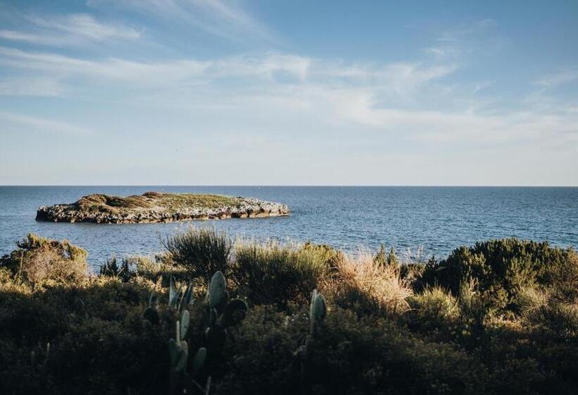 غرفة قياسية, Santa Rosalia