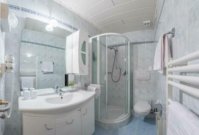 Номер Стандарт, Wohlfühlhotel Mei Auszeit