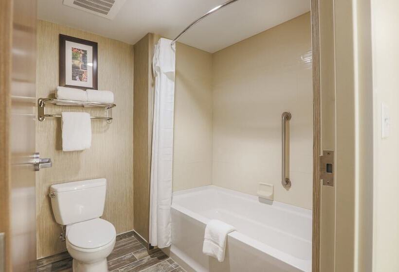 套房, Homewood Suites By Hilton Charleston Historic District