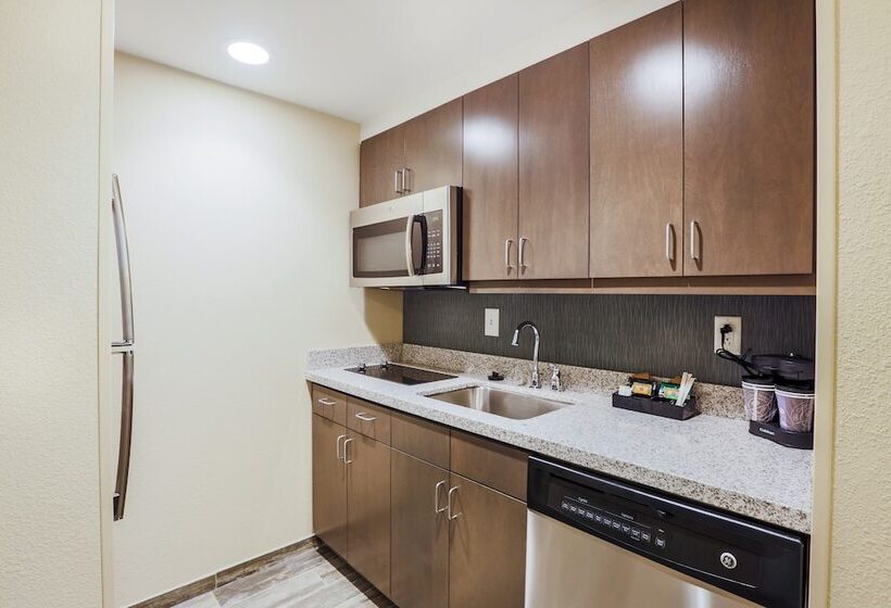 带大床的套房, Homewood Suites By Hilton Charleston Historic District