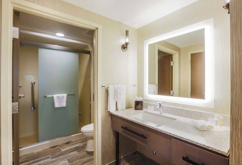 高级工作室, Homewood Suites By Hilton Charleston Historic District