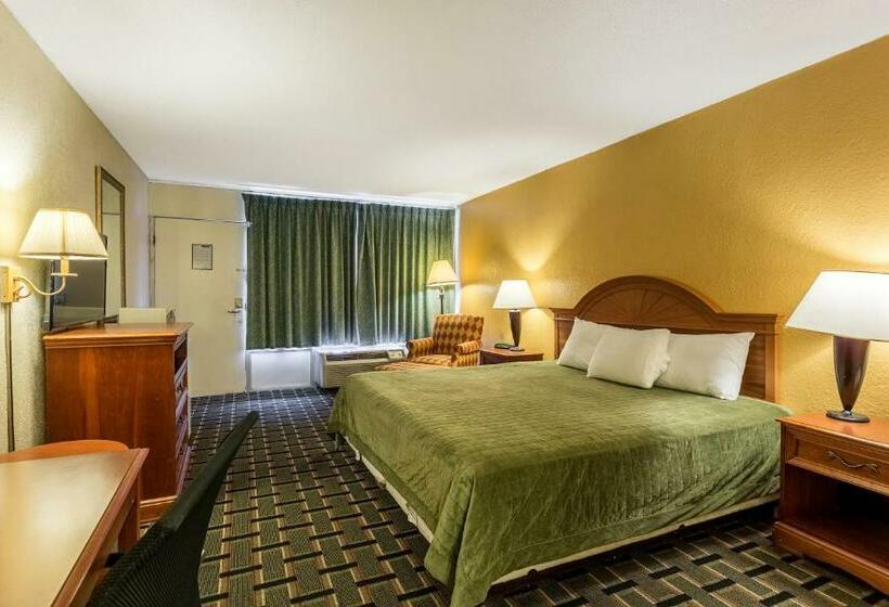 带大床的标准间, Rodeway Inn Denmarkjackson