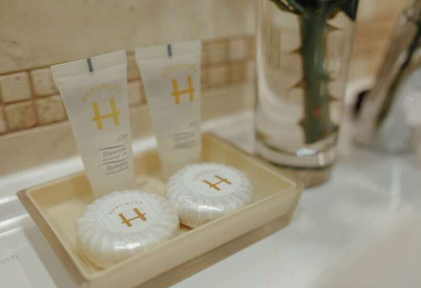 شقة غرفة نوم واحدة مطلة على المدينة, Apart Hotel Horowitz