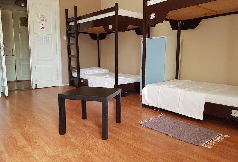 تختخواب در اتاق مشترک, Hostel Morcic