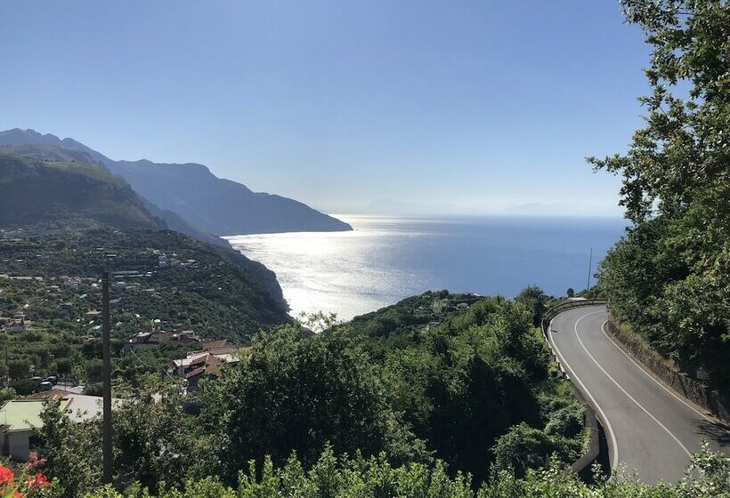 اتاق سوپریور در طبقه همکف, Villa La Ventana