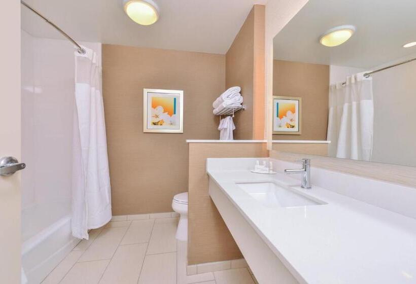 Стандартный Номер Кровать Кинг, Fairfield Inn & Suites By Marriott Coralville