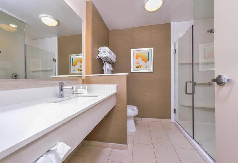 Люкс Кровать Кинг, Fairfield Inn & Suites By Marriott Coralville