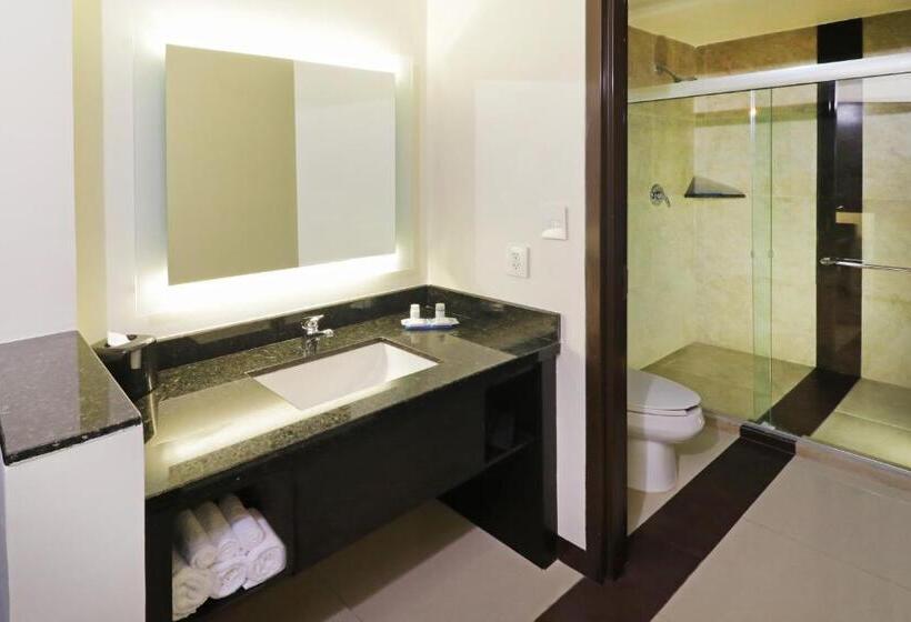 キングサイズベッドのスタンダードルーム, Holiday Inn Express   Tuxpan, An Ihg