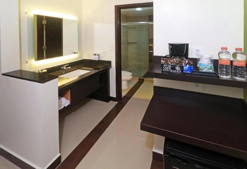スタンダードルーム, Holiday Inn Express   Tuxpan, An Ihg
