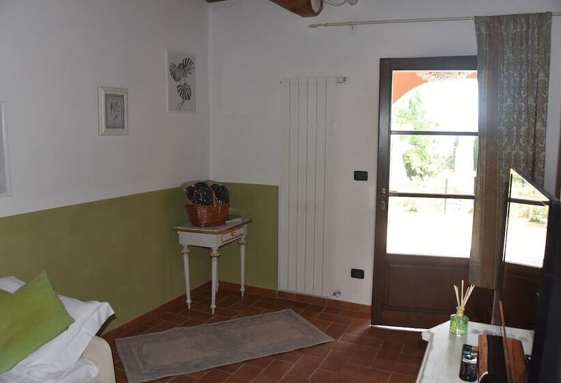 Студия Стандарт, Podere Borgaruccio