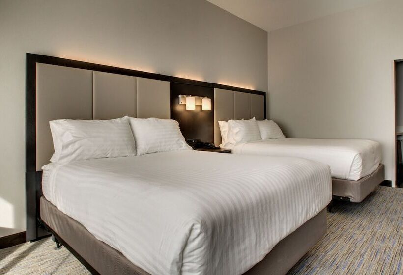 Люкс, Holiday Inn Express & Suites   Summerville, An Ihg