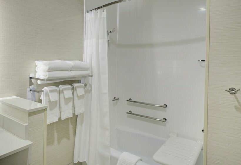 Президентский Люкс, Fairfield Inn And Suites By Marriott Detroit Canton