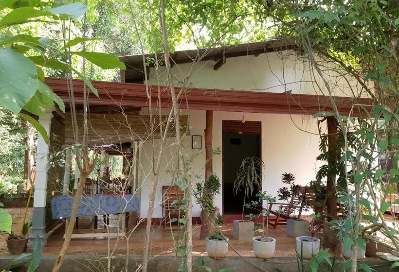 Четырехместный Номер Стандарт, Thilina Homestay