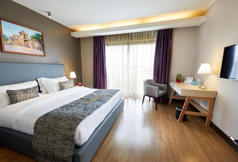 اتاق استاندارد, San Cristobal Boutique Hotel   Ivato Airport